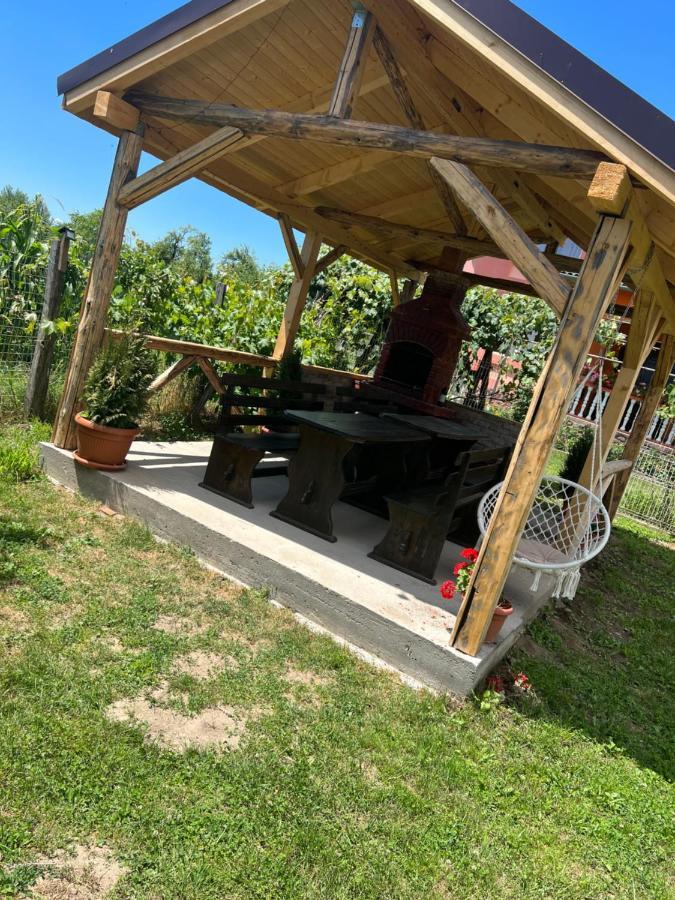 Pensiunea Alina Baia de Fier Extérieur photo